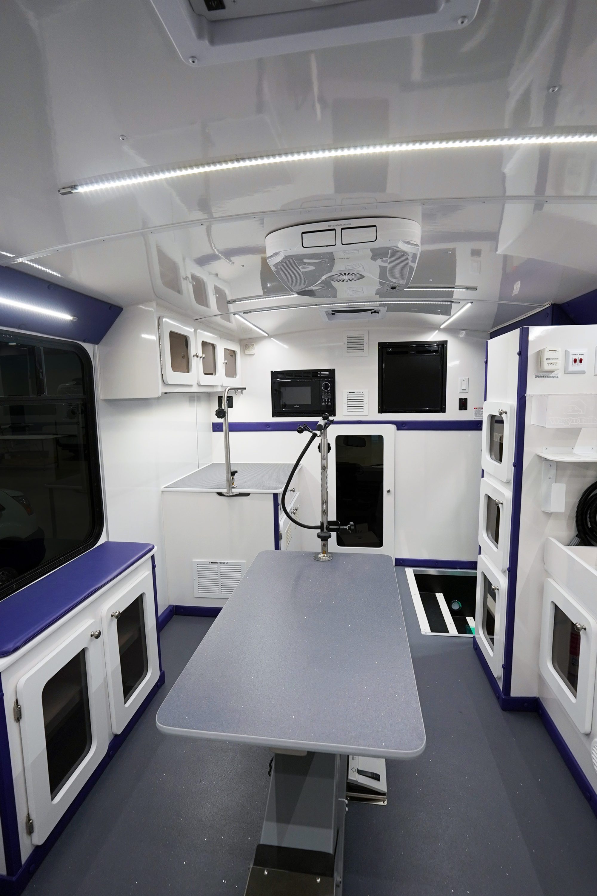 Dat Pooch van interior second view